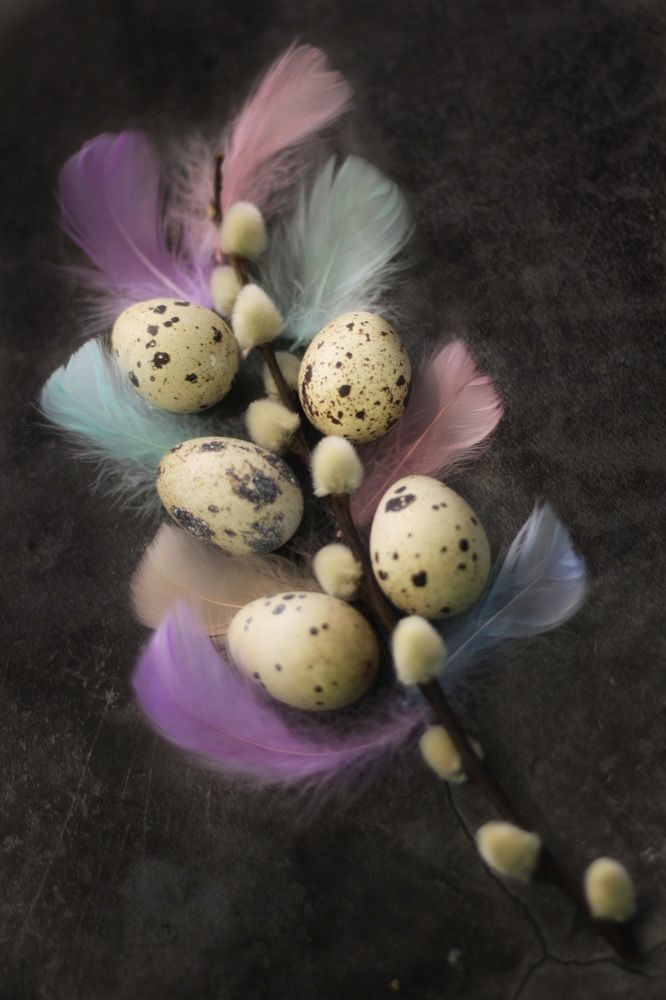 Photograph by Ирина Попкова