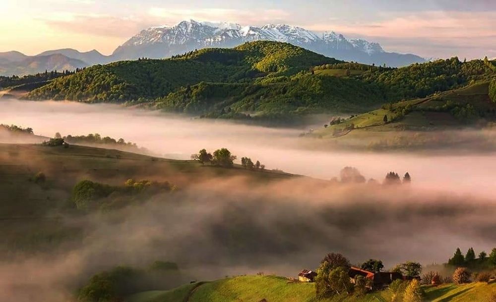 Photograph by Ana Pana