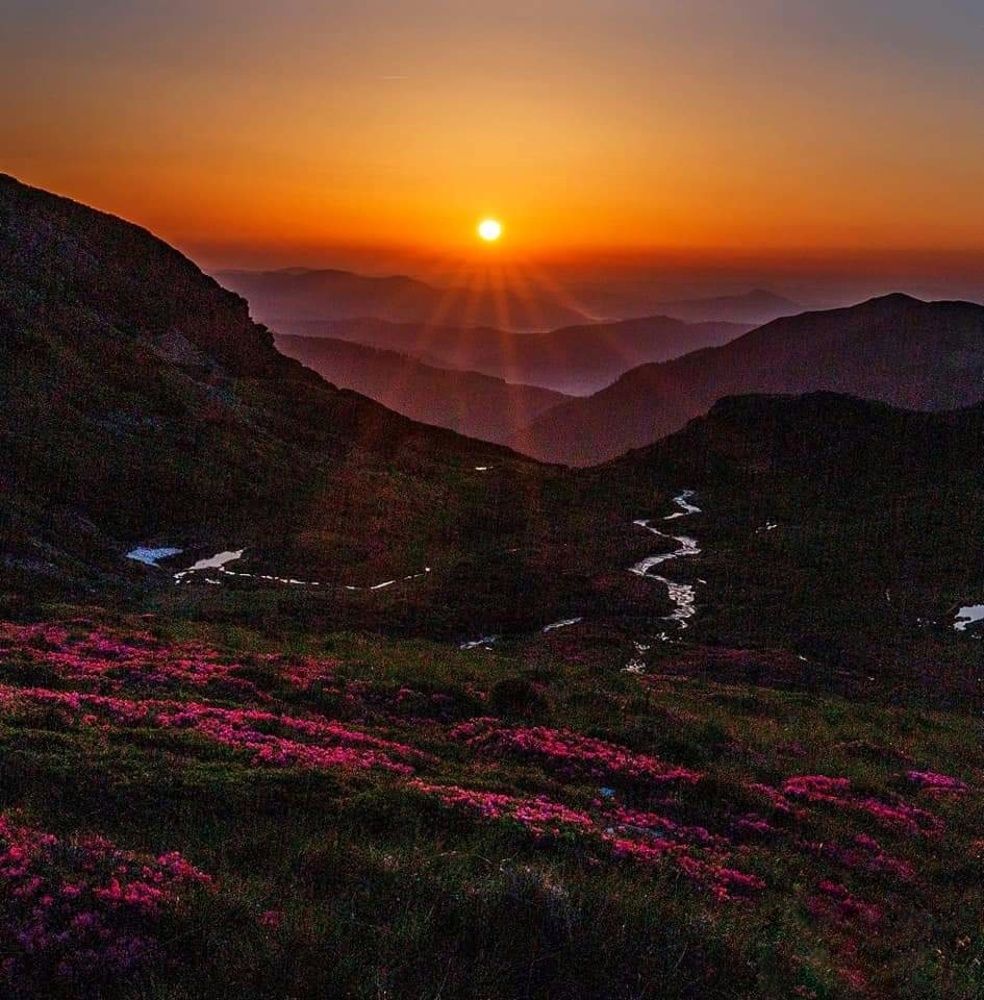 Photograph by Ana Pana