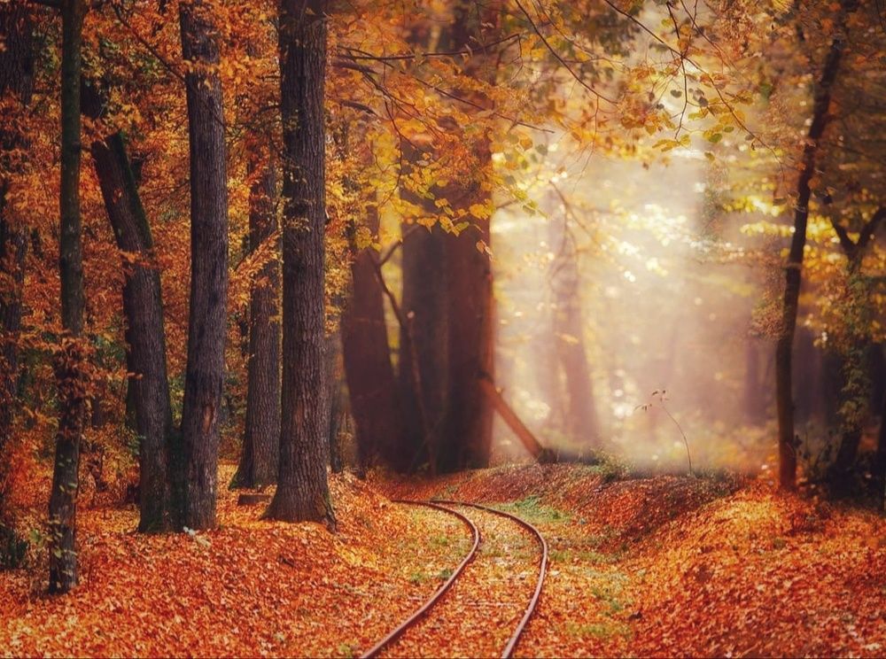 Photograph by Ana Pana