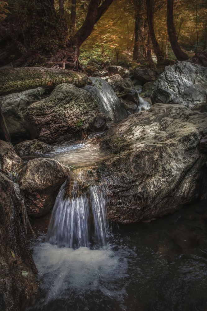 Photograph by Hamid musavi