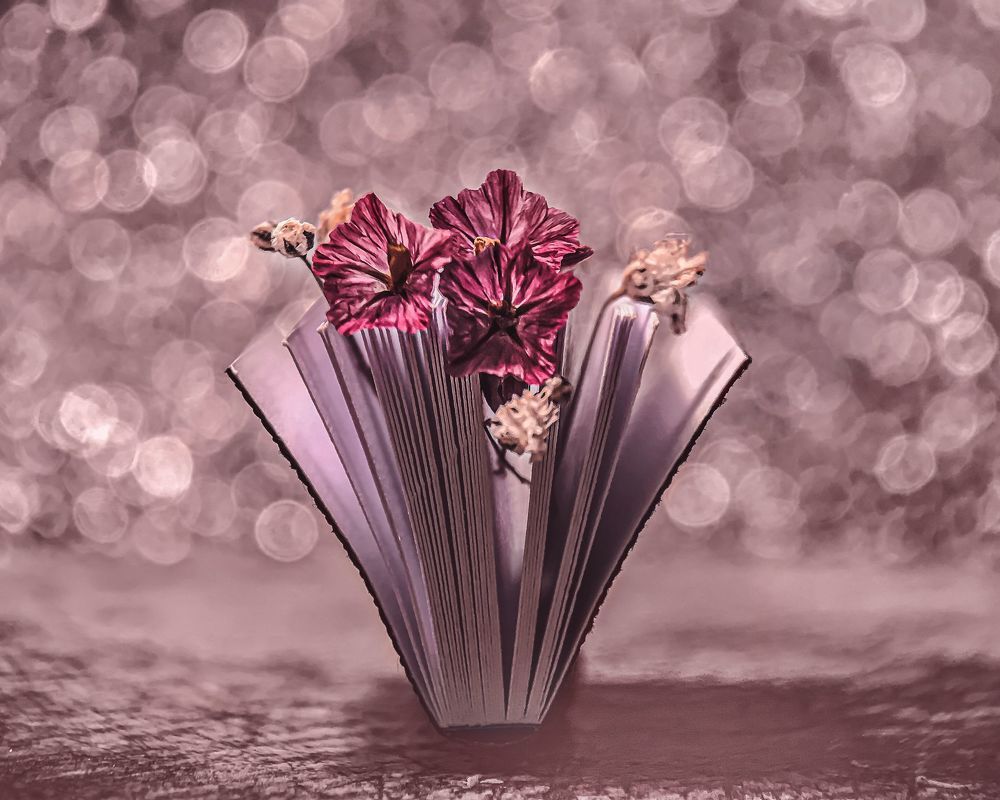 Романтичная книга