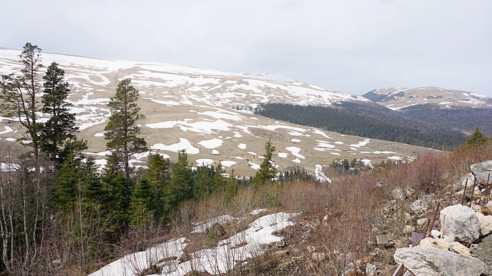 Заповедник "Лаго-наки"