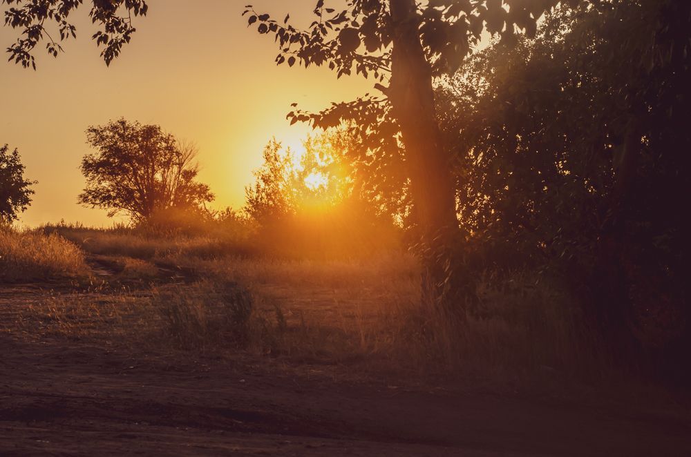 Photograph by Виктория Романенко