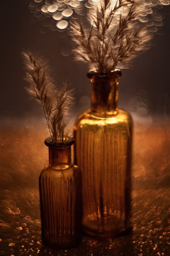 Photograph by Alena Sabro