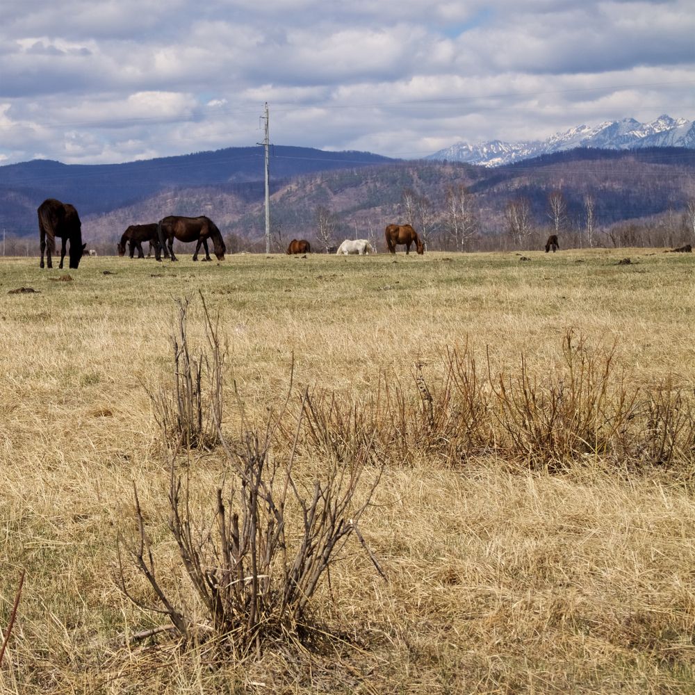 Тункинская долина