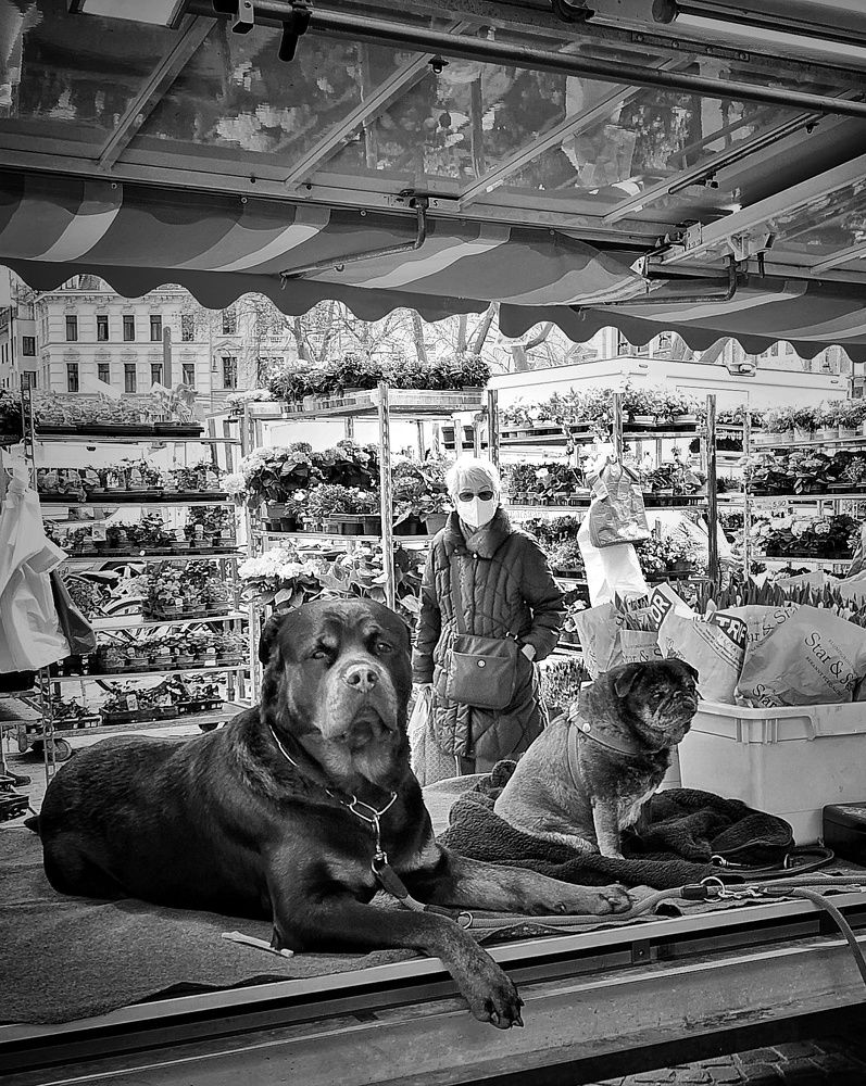 Photograph by Christos Manousakis