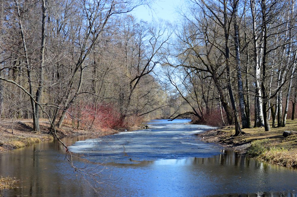 Весенняя река