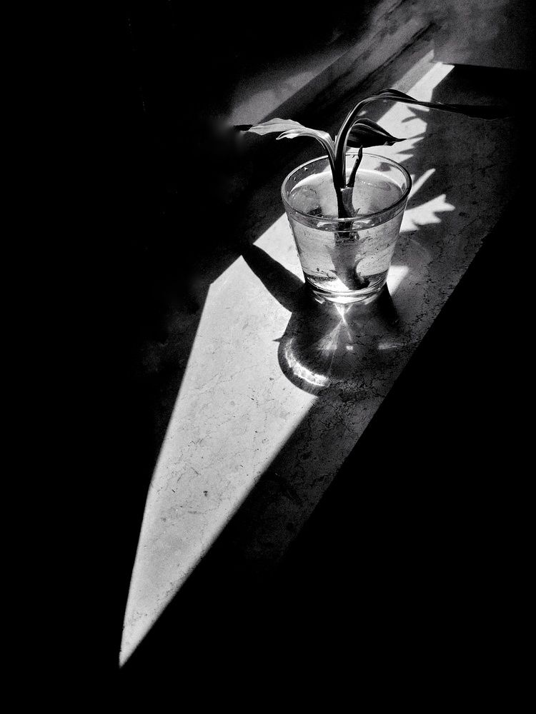 Photograph by Christos Manousakis