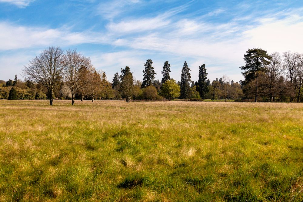 Солнечное утро холодной весны