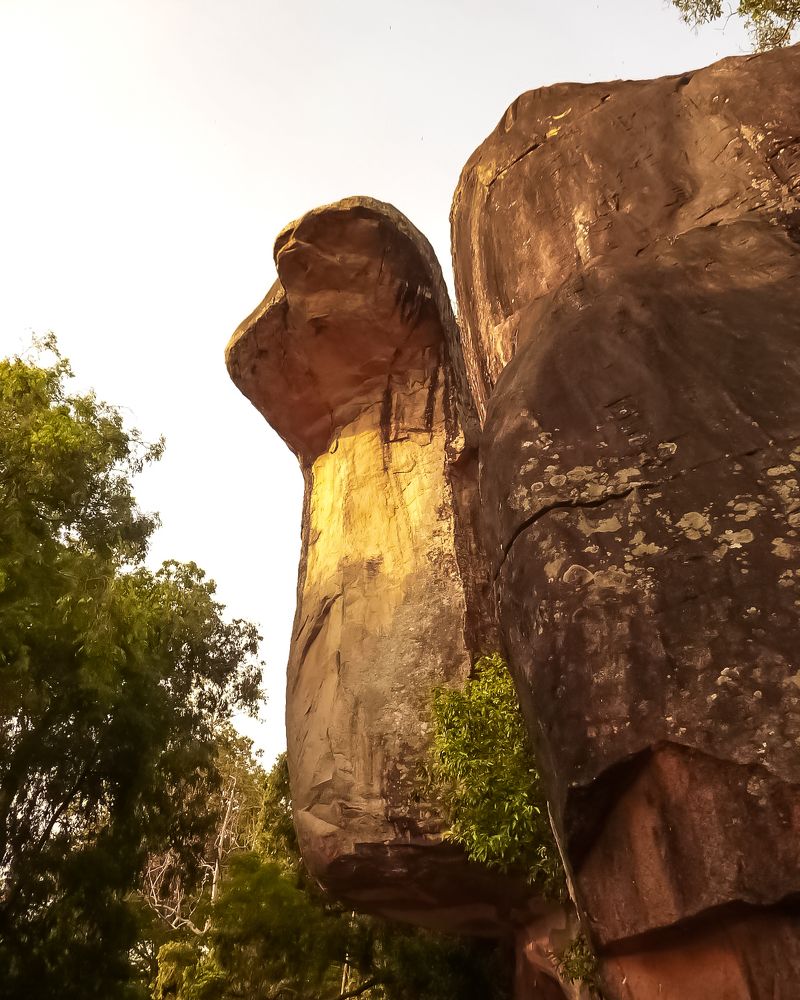 Photograph by Эльвира Курочкина