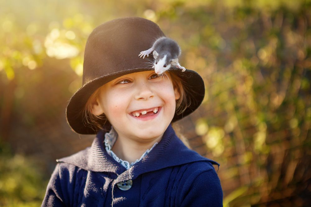 маленький дружок