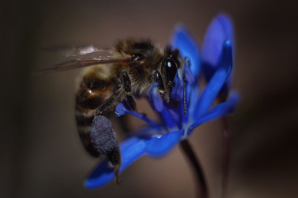 Photograph by Alena Sabro