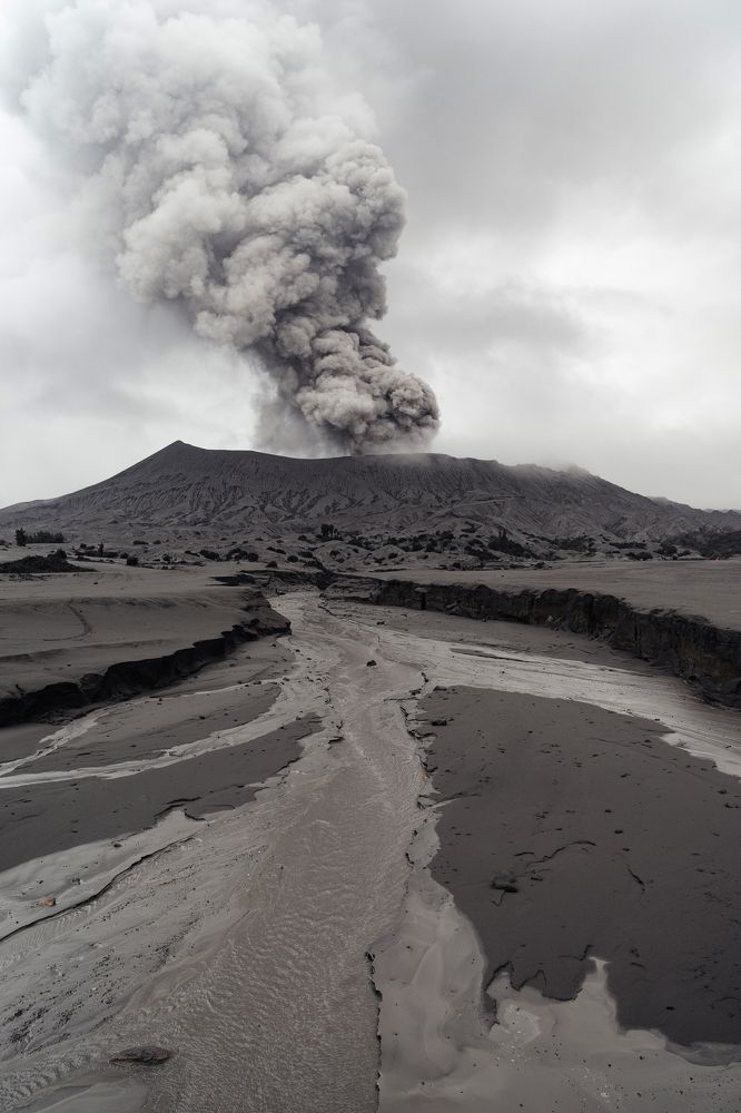 Photograph by Елена Горина