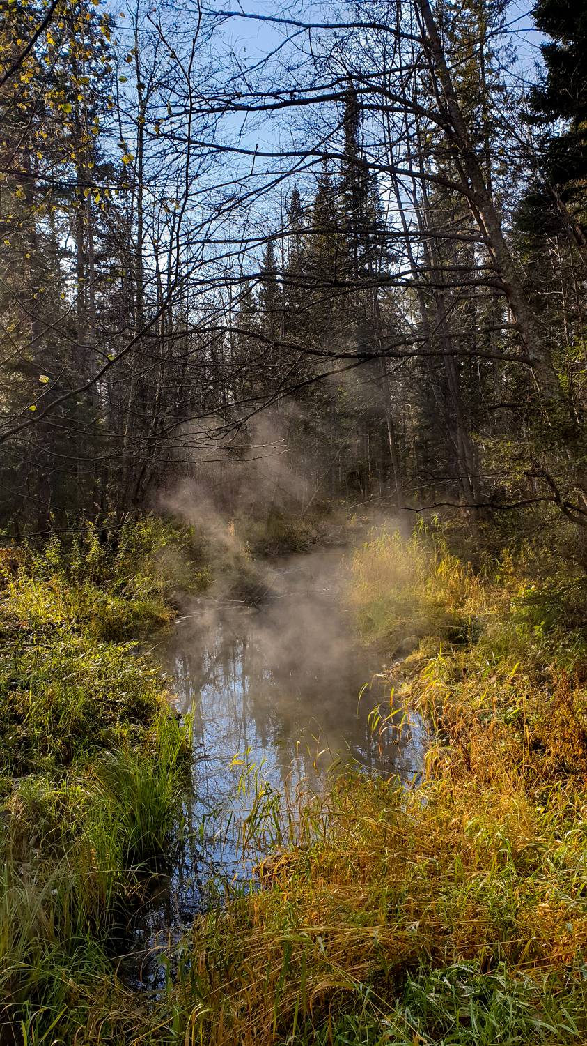Photo #6044754