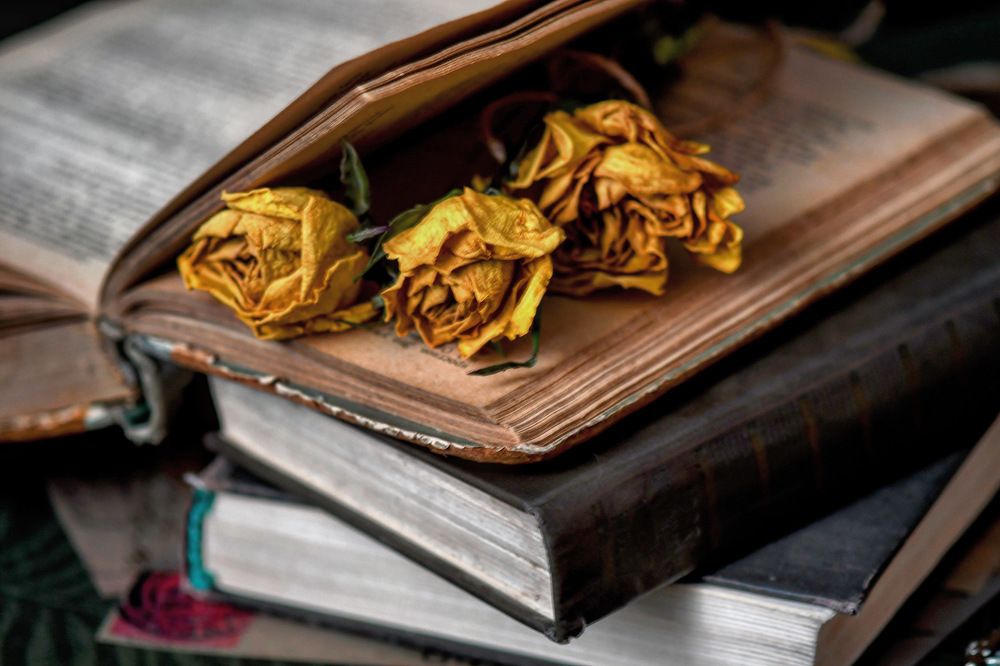 Photograph by Людмила Мамулат