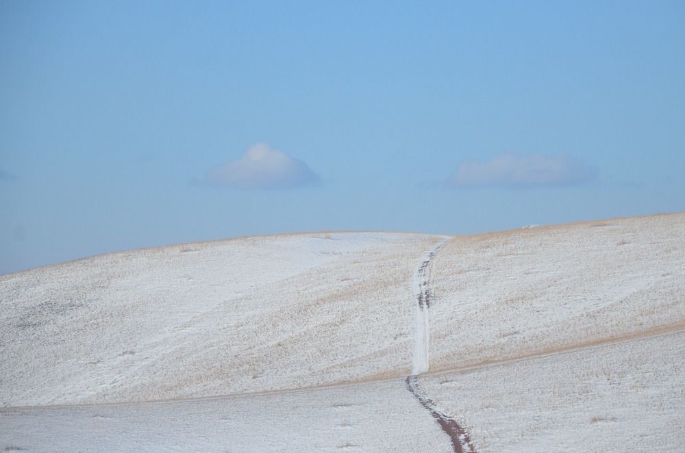 Photograph by Наталья Скиданова