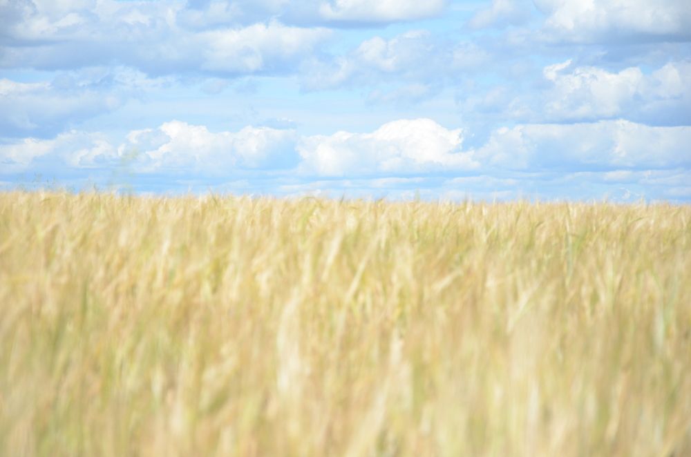 Photograph by Наталья Скиданова