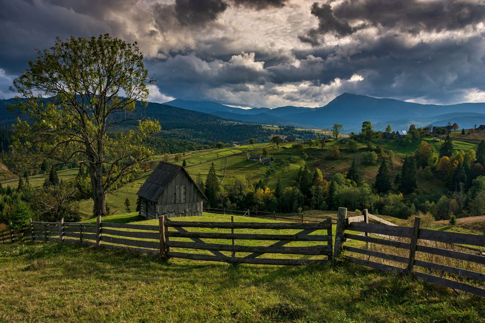 Прояснилось