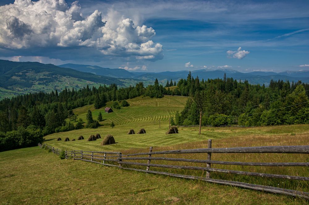 Пора сенокоса