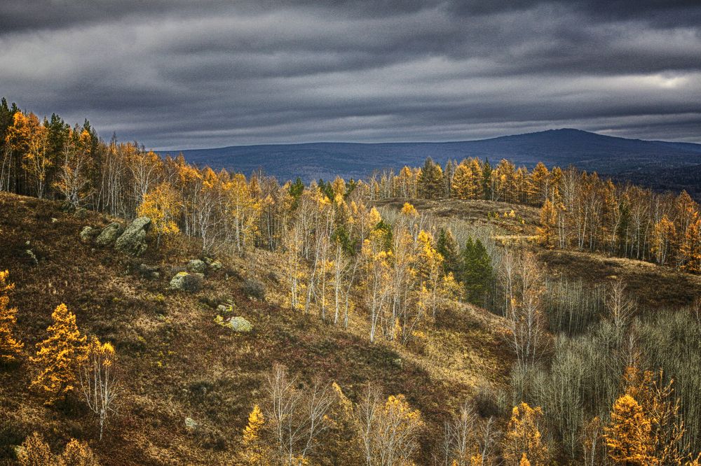 Photograph by Vitaliy Saposhnikov