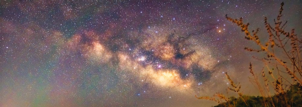 Photograph by Sahibpreet Kochar