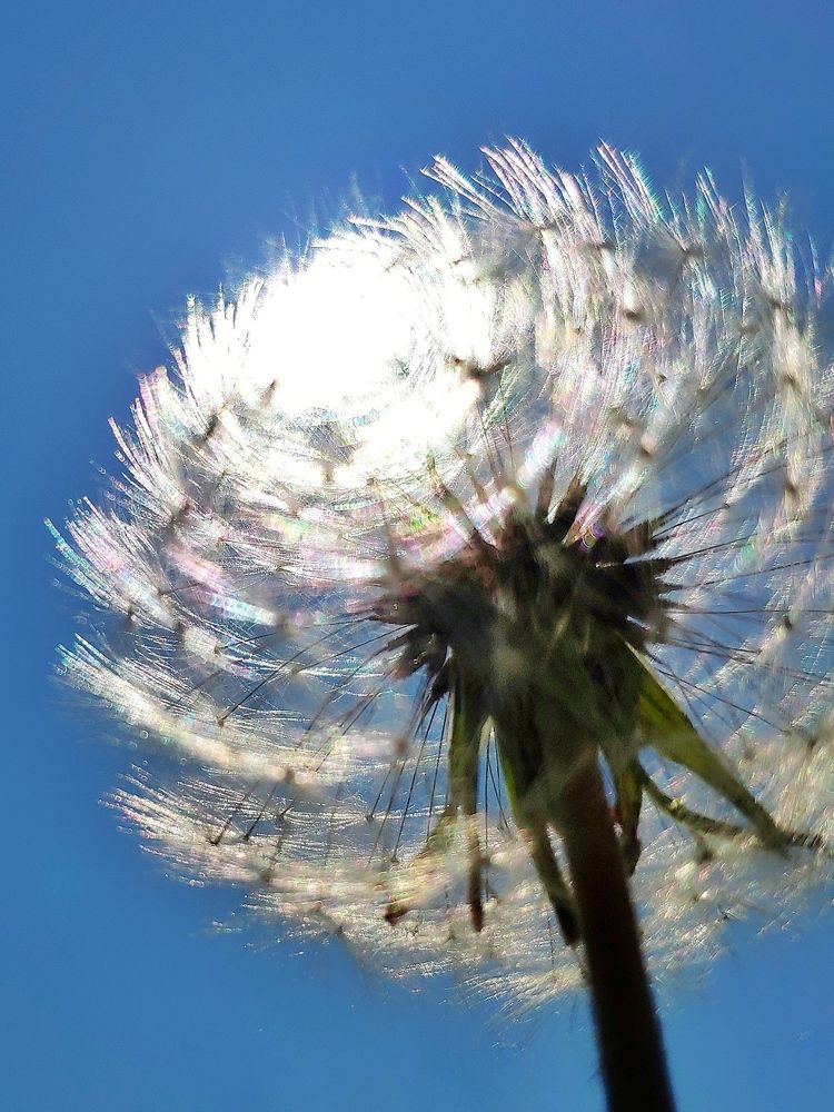 Игра света.