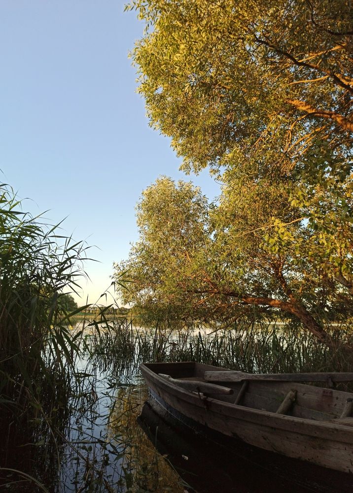 Photograph by Юлия Гаврильчик