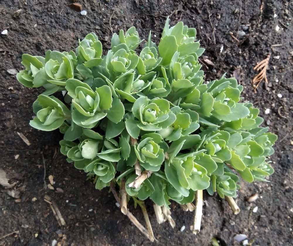 Photograph by Татьяна Ситникова