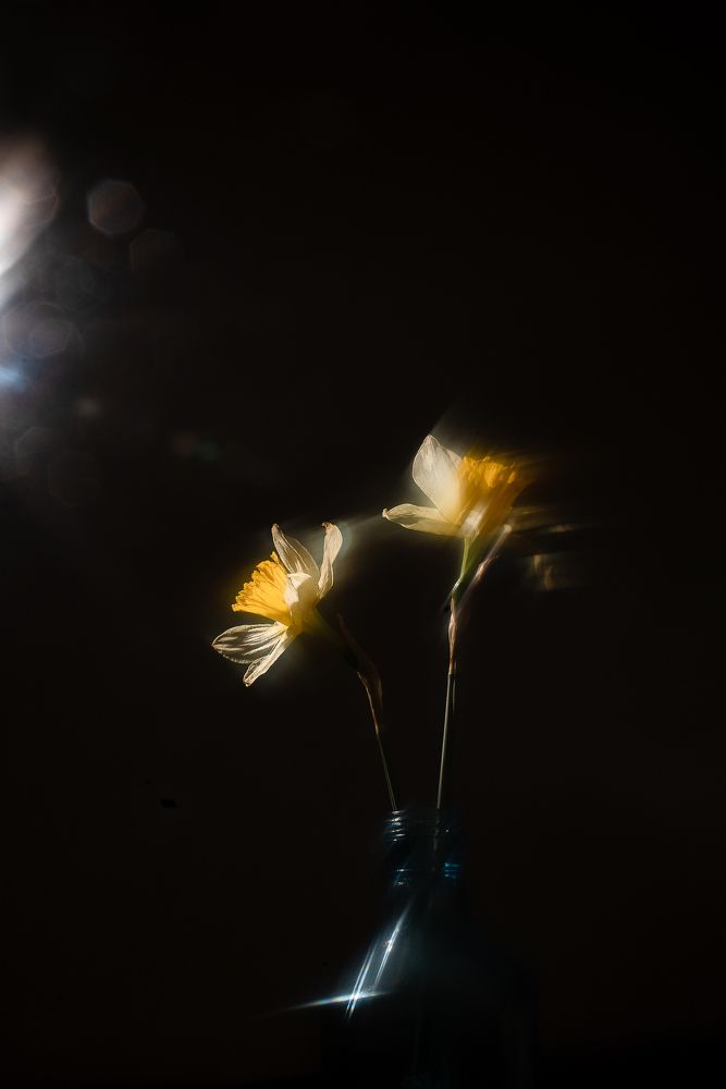 Photograph by Юлия Осипенко