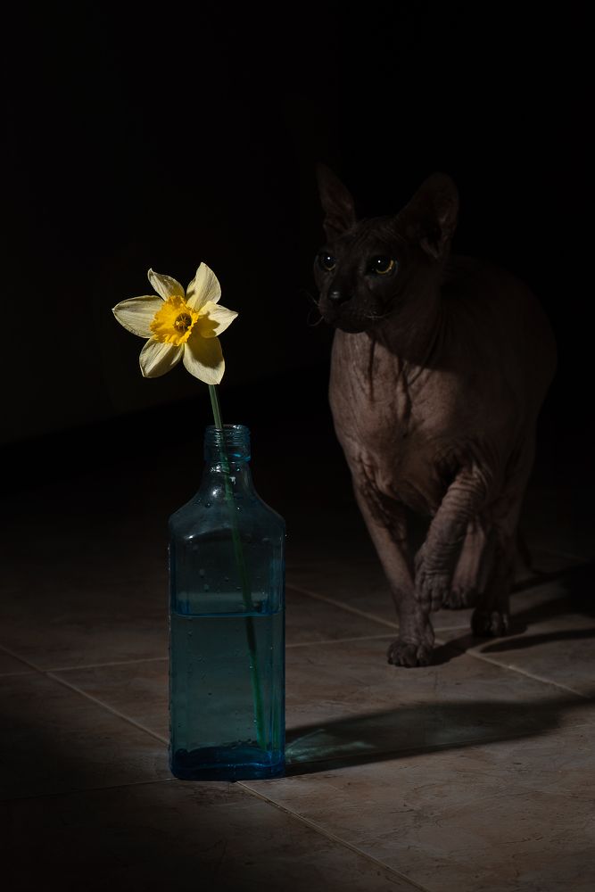 Photograph by Юлия Осипенко