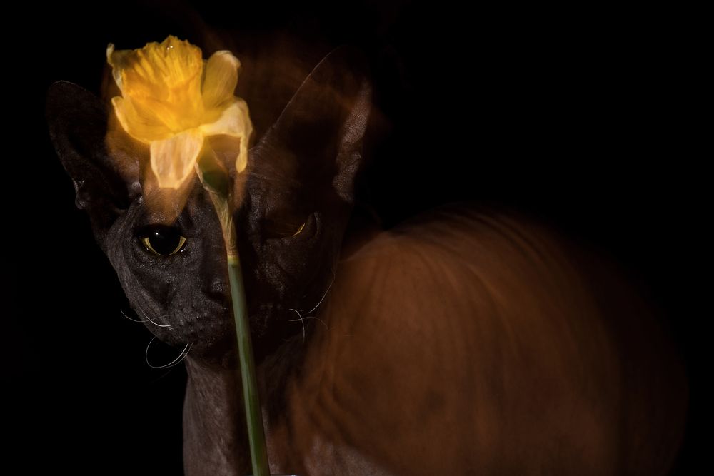 Photograph by Юлия Осипенко