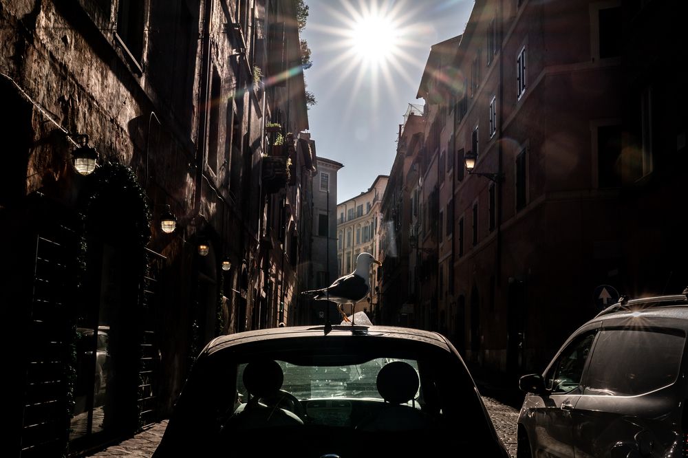 Photograph by Елена Горина