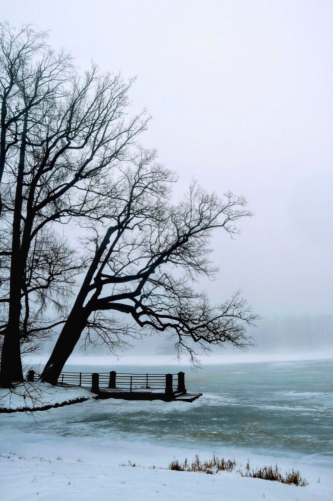 Photograph by Светлана Попова