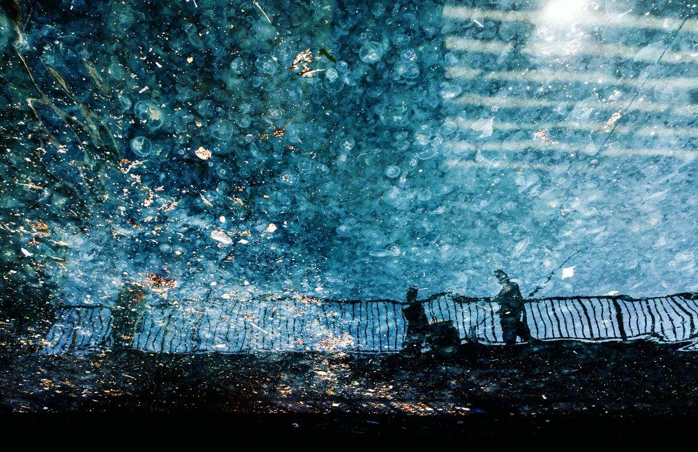 Environmental Pollution