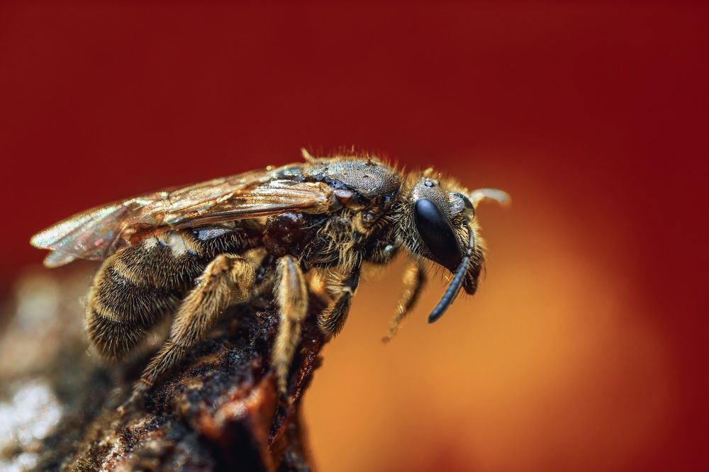 Фотография автора Dolli Pogrebnaya