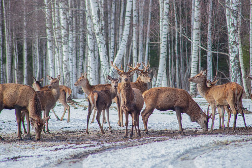 Photograph by Yulia Nikolaeva