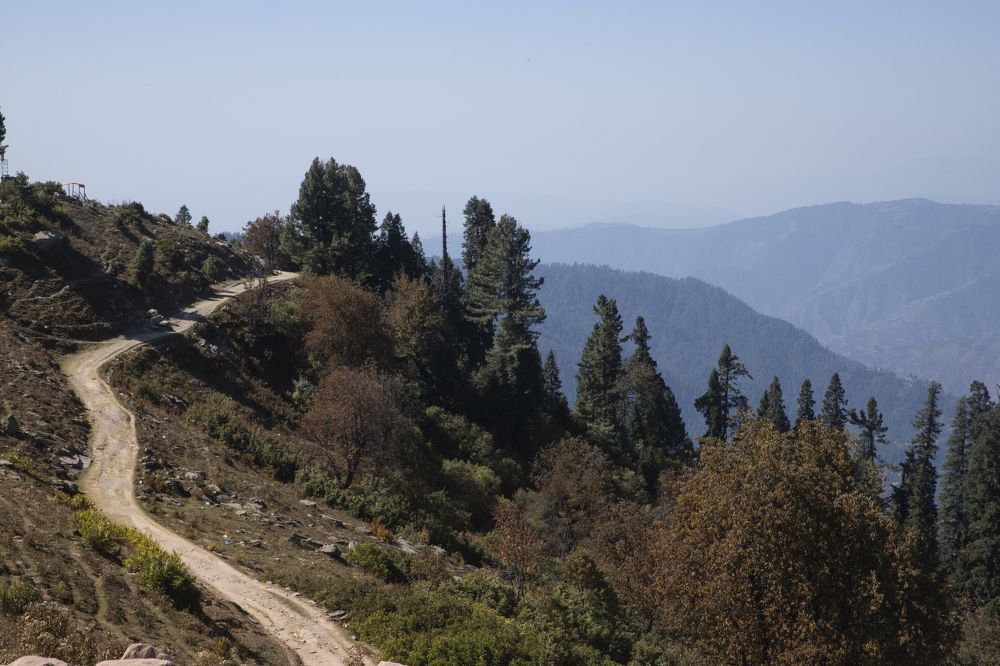 Фотография автора ZEB UN NISA