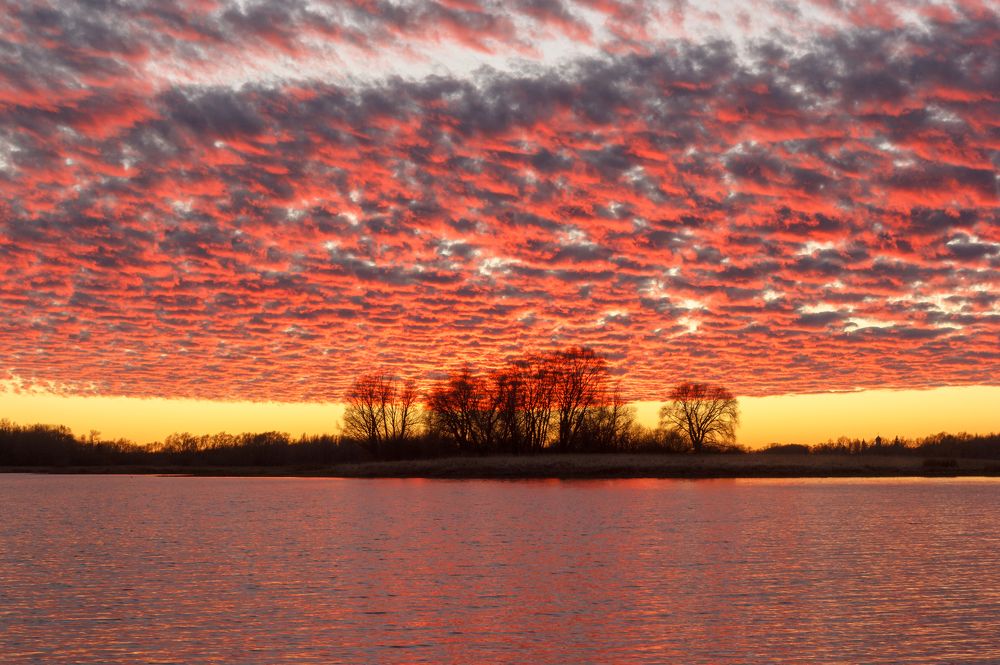 Photograph by Александр Парамонов