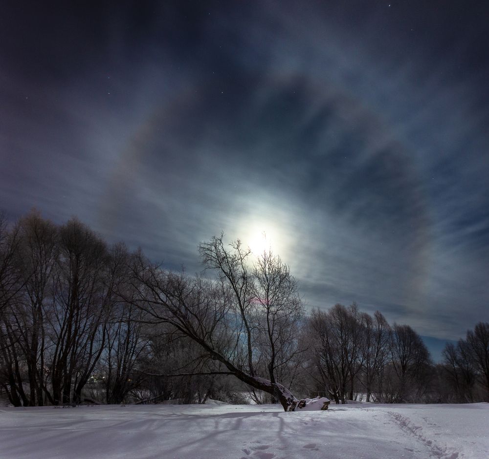 Photograph by Александр Парамонов