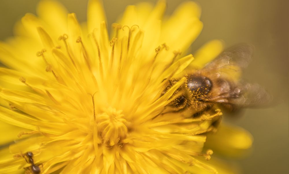 Photograph by Tatiana Khodova