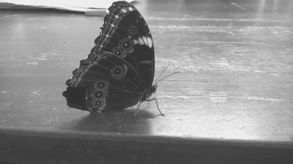 Photograph by Cláudio Luna