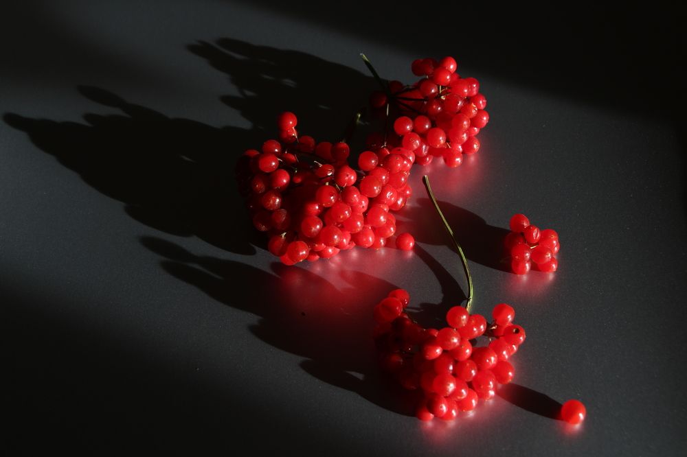 Photograph by Светлана Соколова