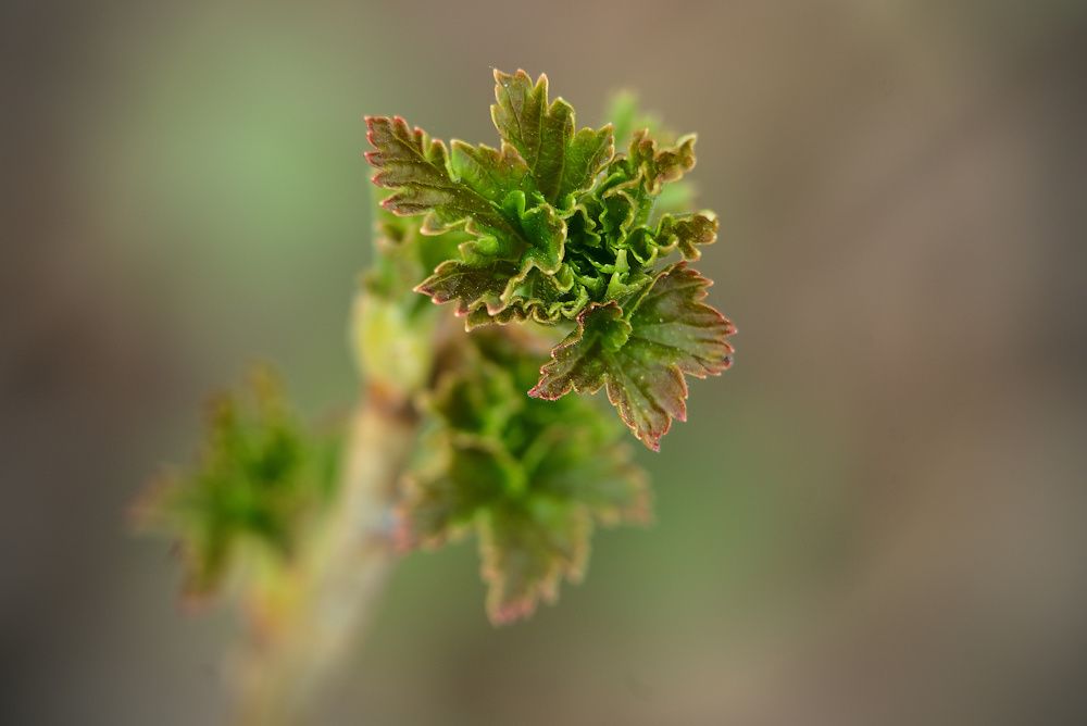 Photograph by Олег Каракин