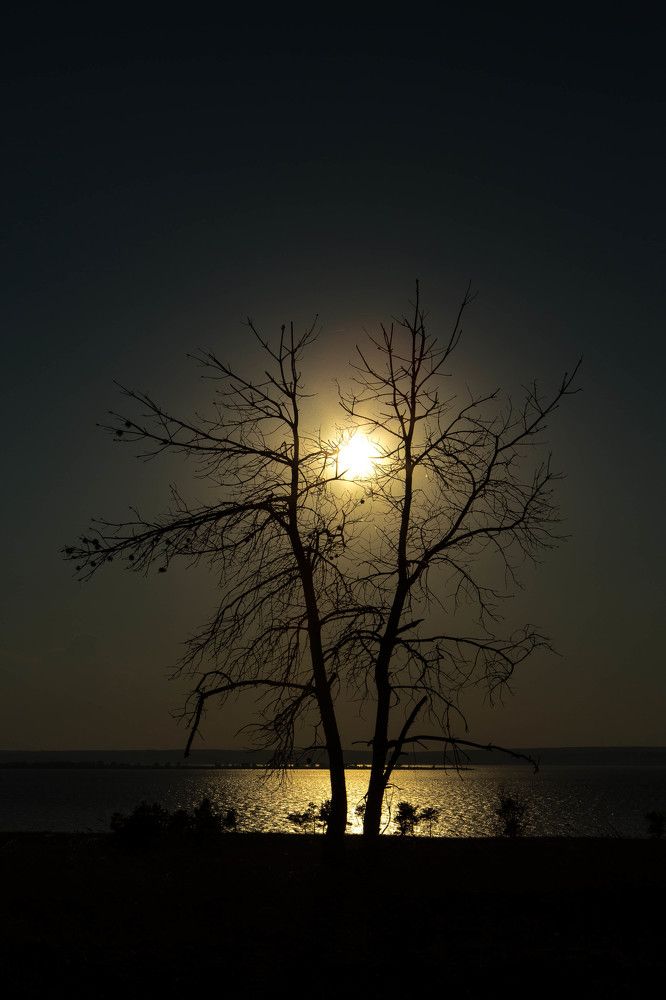 Photograph by Дмитрий Идрисов