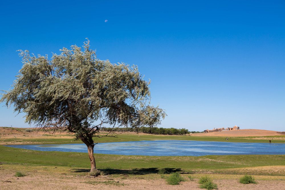 Photograph by Дмитрий Идрисов