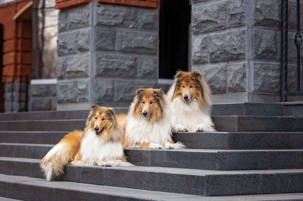 Photograph by СВЕТЛАНА ГРАЧЕВА