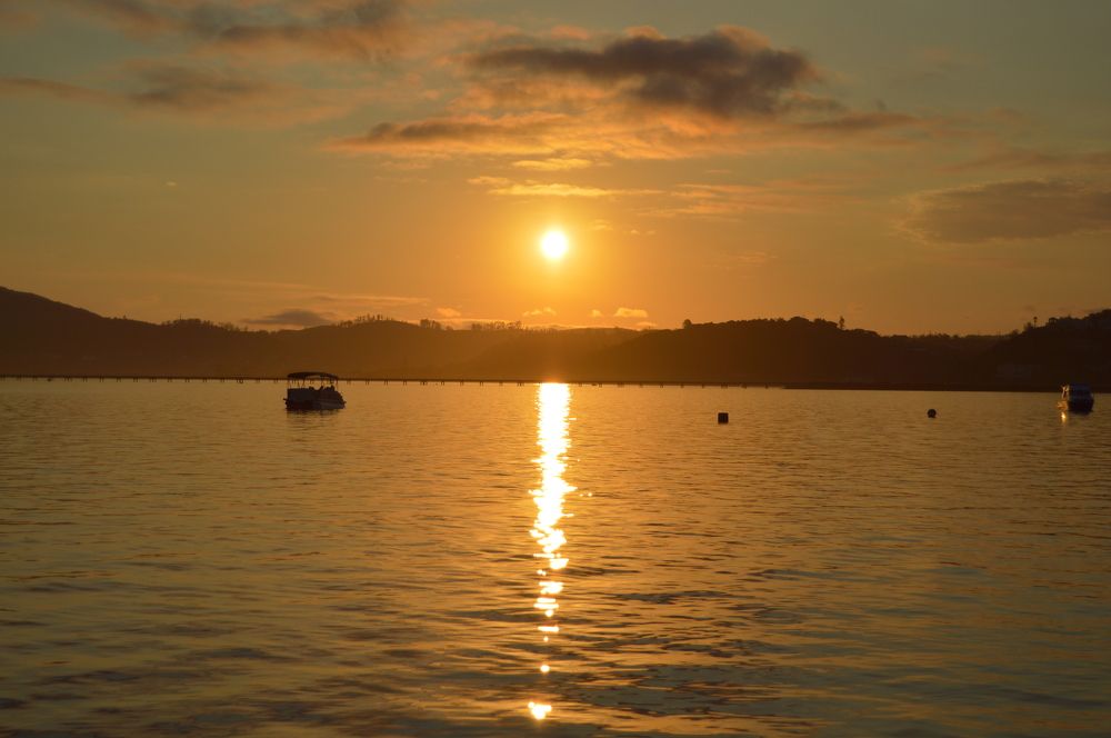 Photograph by Garth Nicholls