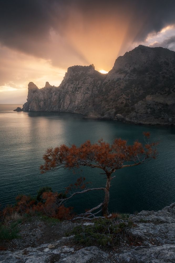 Фотография автора Мартыненко Дмитрий