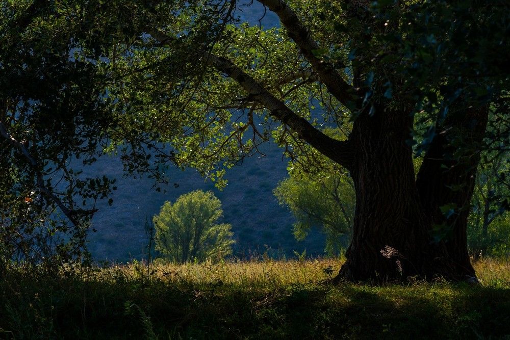 Photograph by Давыдова Гульгена